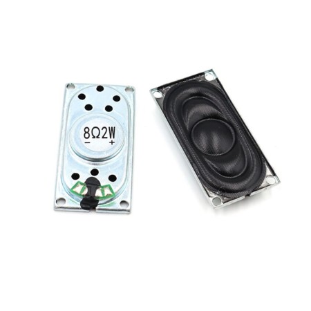 2040 Speaker 4Ω 2W (20mm*40mm)